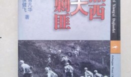 湘西大剿匪在线观看,烽火岁月的正义之战