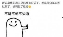 卓伟爆料爆红了吗视频,网络红人之路再掀波澜