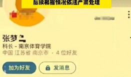 怎么看内鬼爆料视频,视频背后的真相与反思